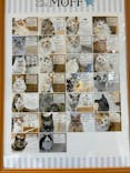 Cat Café MOFF つかしん店に投稿された画像（2025/4/2）
