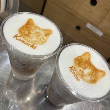 Cat Café MOFF つかしん店に投稿された画像（2025/4/2）