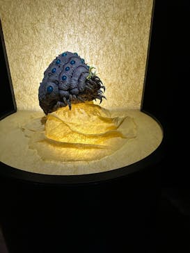 金曜ロードショーとジブリ展　三重展に投稿された画像（2025/4/2）