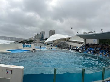 鴨川シーワールドに投稿された画像（2025/4/2）