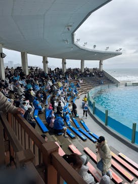 鴨川シーワールドに投稿された画像（2025/4/2）