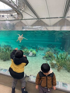 鴨川シーワールドに投稿された画像（2025/4/2）