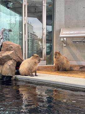 AQUARIUM × ART　atoaに投稿された画像（2025/4/2）