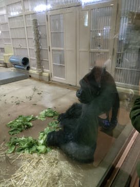 名古屋市東山動植物園に投稿された画像（2025/4/2）