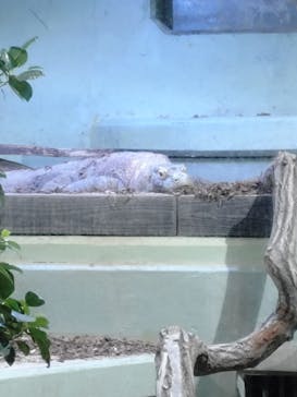 名古屋市東山動植物園に投稿された画像（2025/4/2）