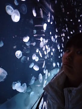 サンシャイン水族館に投稿された画像（2025/4/2）