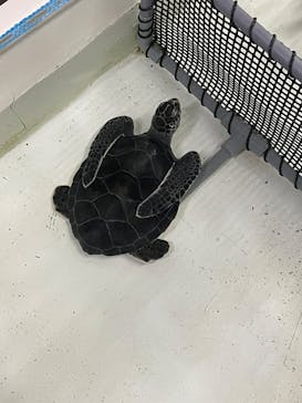 南知多ビーチランド＆南知多おもちゃ王国に投稿された画像（2025/4/2）