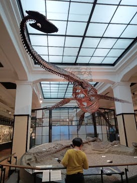 国立科学博物館に投稿された画像（2025/4/2）