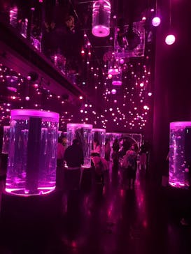 マクセル アクアパーク品川に投稿された画像（2025/4/2）