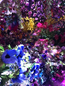 蜷川実花展 with EiM：彼岸の光、此岸の影 NINAGAWA Mika with EiM：Lights of the beyond, Shadows of this worldに投稿された画像（2025/4/2）