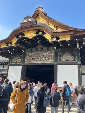 元離宮二条城に投稿された画像（2025/4/2）