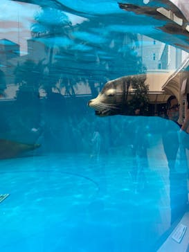 サンシャイン水族館に投稿された画像（2025/4/3）