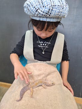 Moff animal cafe iias つくば店に投稿された画像（2025/4/3）