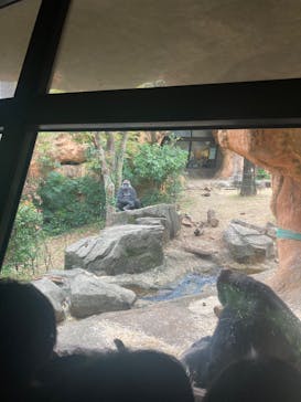 恩賜上野動物園に投稿された画像（2025/4/3）