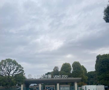 恩賜上野動物園に投稿された画像（2025/4/3）