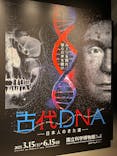 特別展「古代DNA－日本人のきた道」（国立科学博物館）に投稿された画像（2025/4/3）