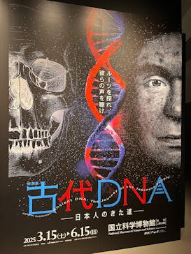 特別展「古代DNA－日本人のきた道」（国立科学博物館）に投稿された画像（2025/4/3）