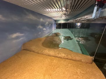 マリンワールド海の中道に投稿された画像（2025/4/3）