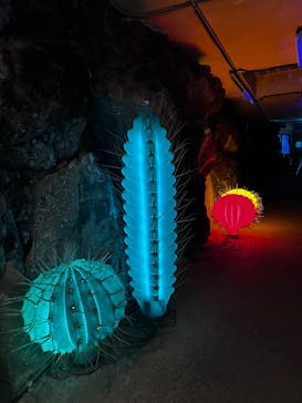 伊豆シャボテン動物公園に投稿された画像（2025/4/3）