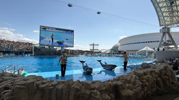 名古屋港水族館に投稿された画像（2025/4/3）