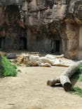 天王寺動物園に投稿された画像（2025/4/3）