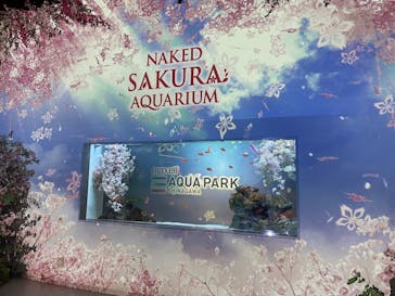 マクセル アクアパーク品川に投稿された画像（2025/4/3）