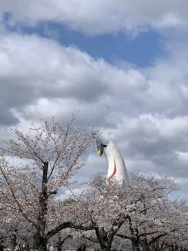 万博記念公園に投稿された画像（2025/4/3）