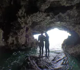 武藤潜水に投稿された画像（2025/4/3）