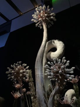 金曜ロードショーとジブリ展　三重展に投稿された画像（2025/4/3）