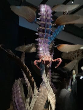 金曜ロードショーとジブリ展　三重展に投稿された画像（2025/4/3）