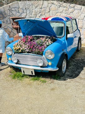 EnglishGardenローザンベリー多和田に投稿された画像（2025/4/3）