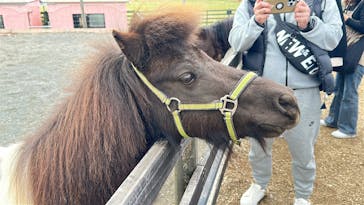 EnglishGardenローザンベリー多和田に投稿された画像（2025/4/3）