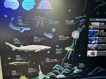 アソビュー！ポイントに投稿された画像（2025/4/2）