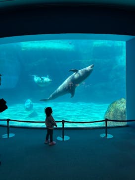 名古屋港水族館に投稿された画像（2025/4/3）