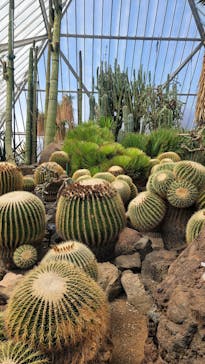 伊豆シャボテン動物公園に投稿された画像（2025/4/3）