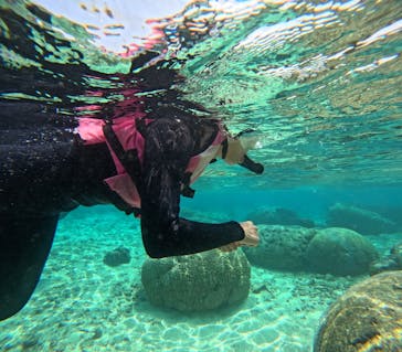 沖縄マリンサービス碧に投稿された画像（2025/4/3）