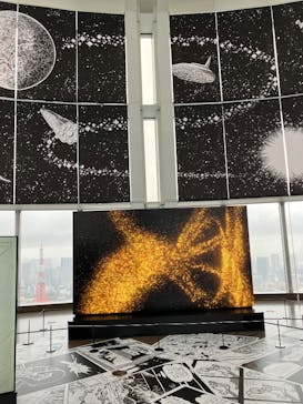 手塚治虫「火の鳥」展－火の鳥は、エントロピー増大と抗う動的平衡＝宇宙生命の象徴－に投稿された画像（2025/4/3）