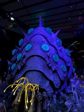 金曜ロードショーとジブリ展　三重展に投稿された画像（2025/4/3）