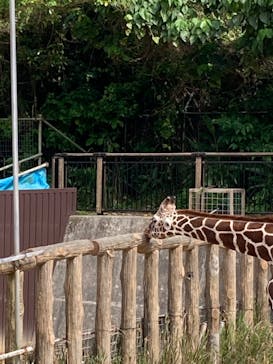 沖縄こどもの国に投稿された画像（2025/4/3）
