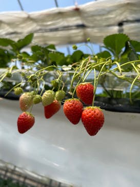 ニューベリーに投稿された画像（2025/4/3）