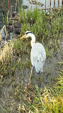 恩賜上野動物園に投稿された画像（2025/4/3）