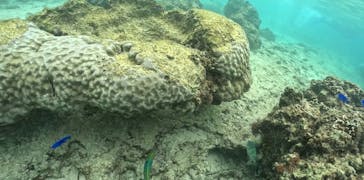 武藤潜水に投稿された画像（2025/4/3）