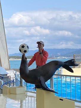 マリンワールド海の中道に投稿された画像（2025/4/3）