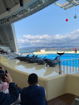 マリンワールド海の中道に投稿された画像（2025/4/3）