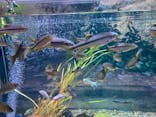 カワスイ 川崎⽔族館に投稿された画像（2025/4/3）