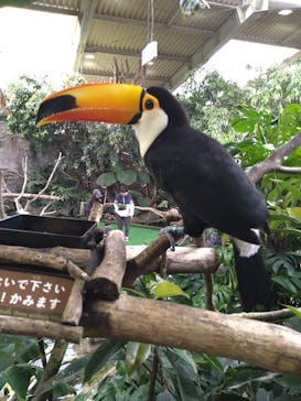 那須どうぶつ王国に投稿された画像（2025/4/3）