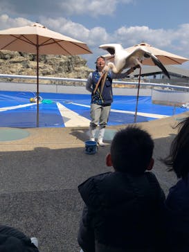 大分マリーンパレス水族館 「うみたまご」に投稿された画像（2025/4/3）