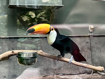 カワスイ 川崎⽔族館に投稿された画像（2025/4/3）