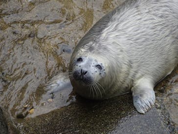伊豆・三津シーパラダイスに投稿された画像（2025/4/3）