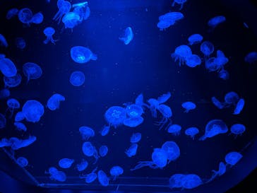 AOAO SAPPOROに投稿された画像（2025/4/3）